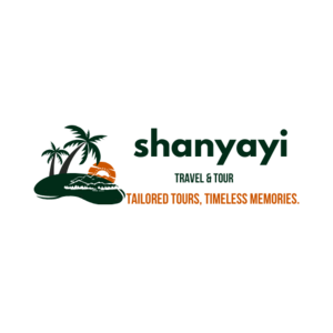 shanyayi.co.za
